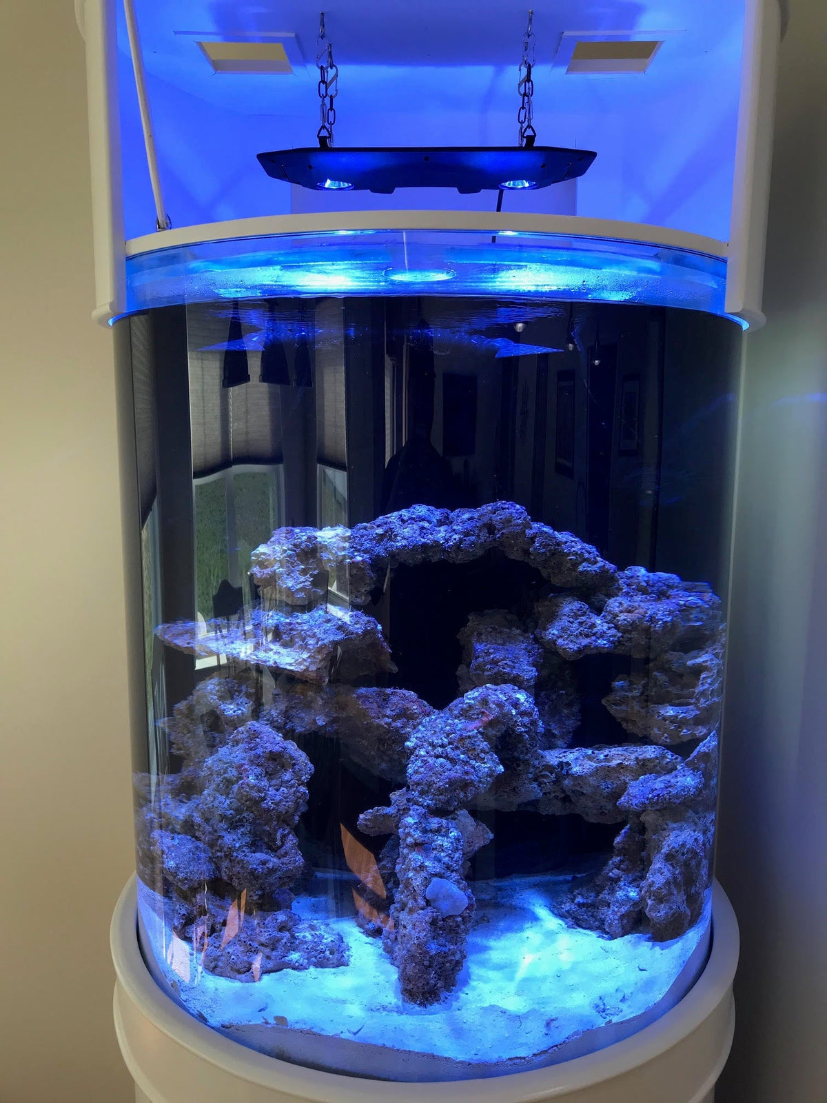 115 Gallon 3/4 Cylinder Glass Reef-Ready Aquarium Set in Tulum White