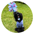 3-in-1 Bundle Enrichment Tube for Dogs - Tug Toy, Treat Dispenser & Snuffle Ball