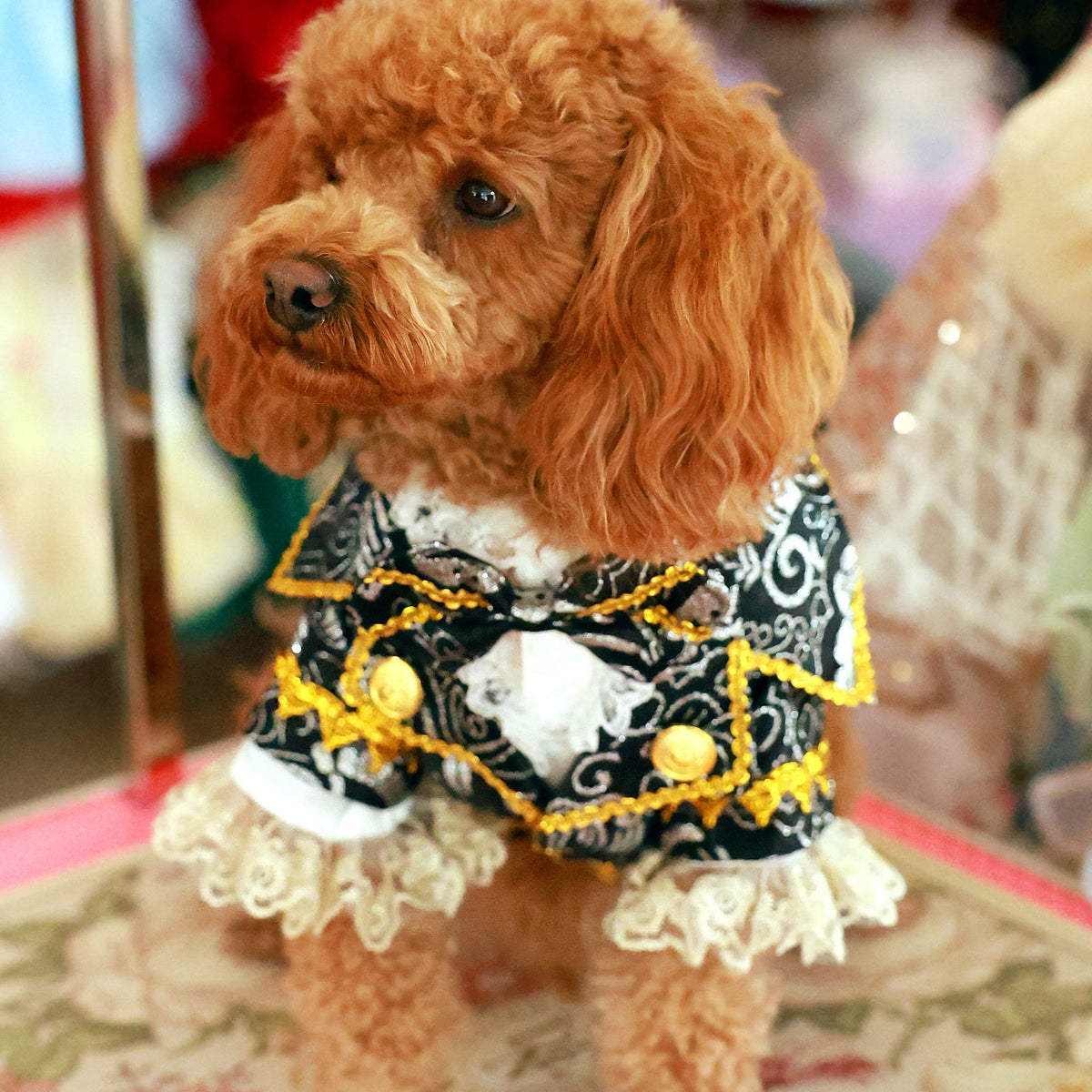 Royal Pet Tuxedo | Formal Wedding Outfit for Dogs & Cats