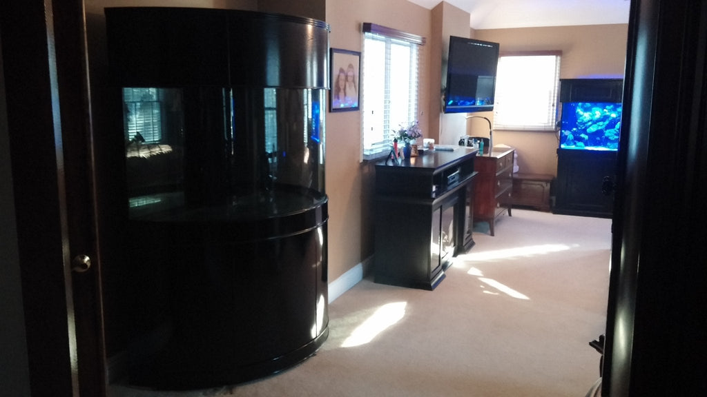 180 Gallon Half Cylinder Glass Reef-Ready Aquarium Set in Abyss Black