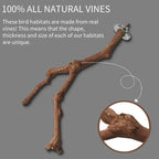 Bird Standing Stick Wild Grape Wood Grinding Claw Stick Perching Stick