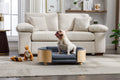 Scandinavian Style Elevated Dog Bed with Velvet Cushion - Modern Pet Bed