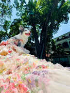Blush Garden Princess Couture Dog Dress – Floral Ruffle Wedding Gown with Pink Bow Train