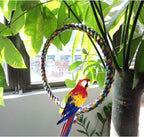 Bird Swing