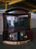 440g Corner 1/4 Cylinder Glass Aquarium Set in Walnut Wood Furniture