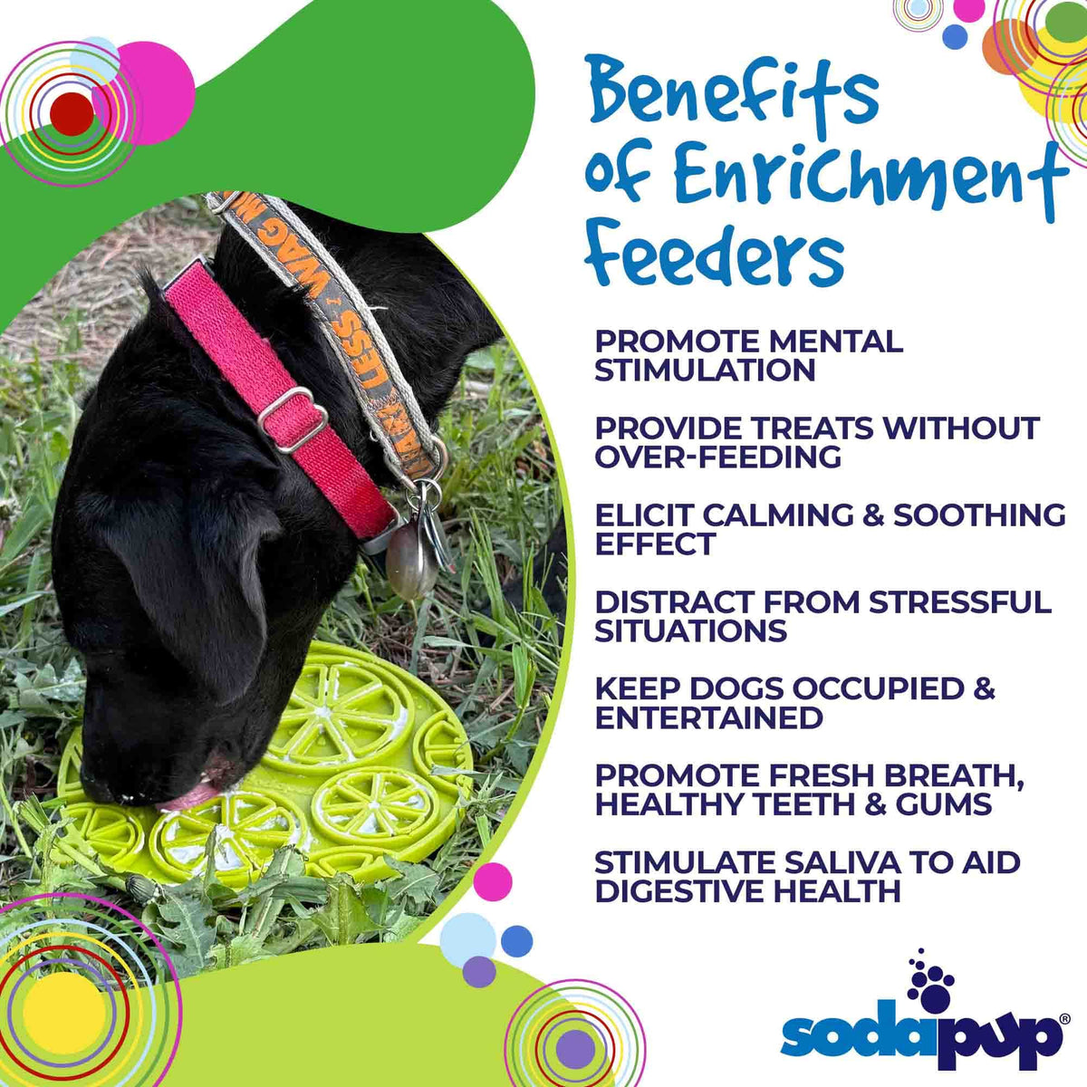 Citrus Design eMat - Enrichment Lick Mat For Dogs and Cats - with Suction Cups | USA Made
