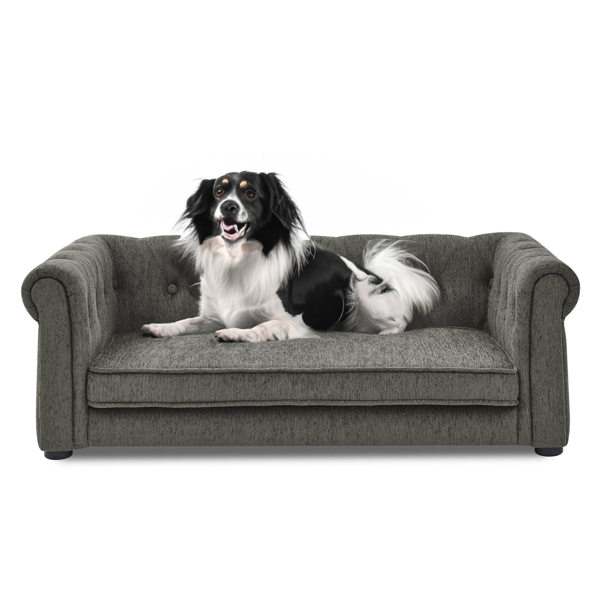 Elegant Rectangle Pet Bed for Small and Medium Dogs