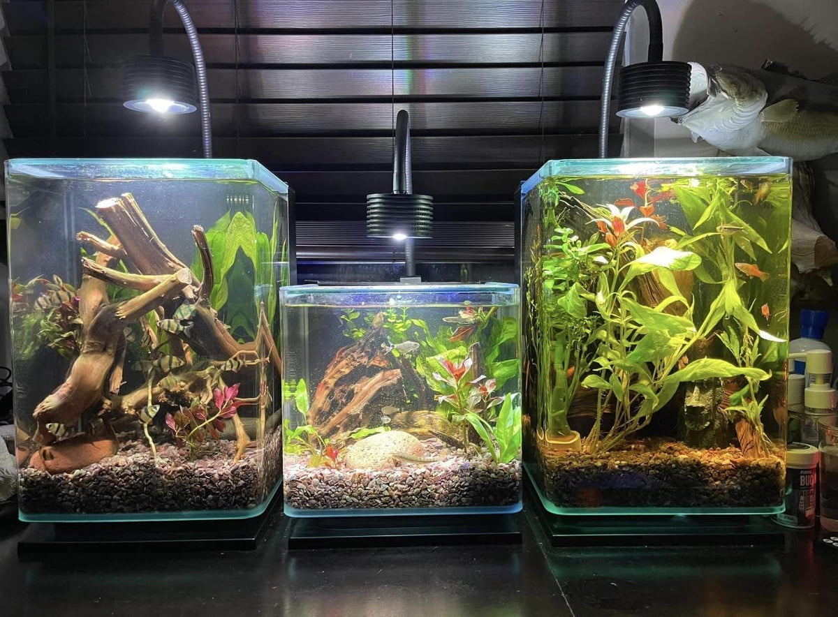 LED Aquarium Light, Planted Tank Light 4 Channels Remote Control