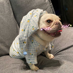 Clothes, Dogs Cats Favs Teddy Schnauzer