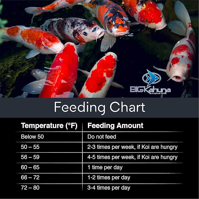 Big Kahuna Koi Fish Food- 45lbs Food – Made in The USA - Floating Pellets – 3/16" - 1/4" Pellet Size – 32% Protein Fish Food – Rich in Nutrients