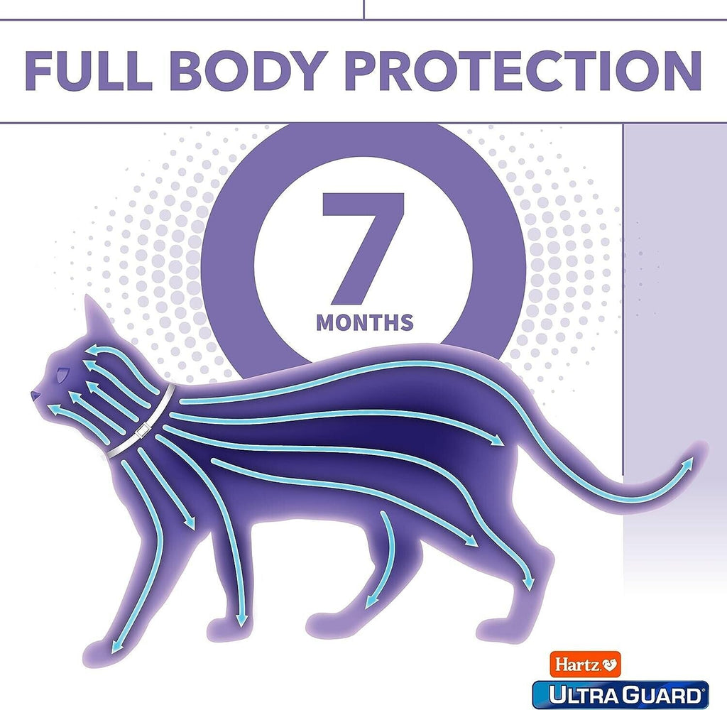 Protect Your Feline Friend with Hartz Ultraguard Flea & Tick Collar - Fresh Scented & Long-Lasting Protection for Cats & Kittens