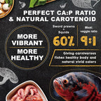 Ultra Fresh Cichlid Sinking Fish Food, Wild Sword Prawns, All Natural Ingredients, Carnivore Pellets for Large Cichlid and Tropical Fish, Royal Cichlid Premium Pellet 4.58 oz