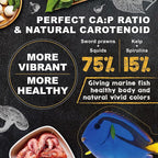Ultra Fresh Marine Fish Food, 75% Sword Prawns + Squids, Natural Protein, Color Enhancement, for Small Saltwater Fish, Marine Shrimp Patties S 4.56oz