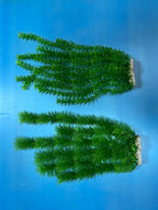 Artificial Aquarium Plant for Fish Tanks, LARGE aquarium plastic plant, 21" TALL
