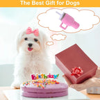 Interactive Pet Water Toy - Floating Bubble Fountain for Mental Stimulation