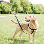 Reflective Red Freedom No-Pull Dog Harness