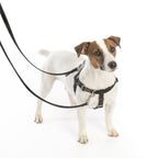 Reflective Red Freedom No-Pull Dog Harness