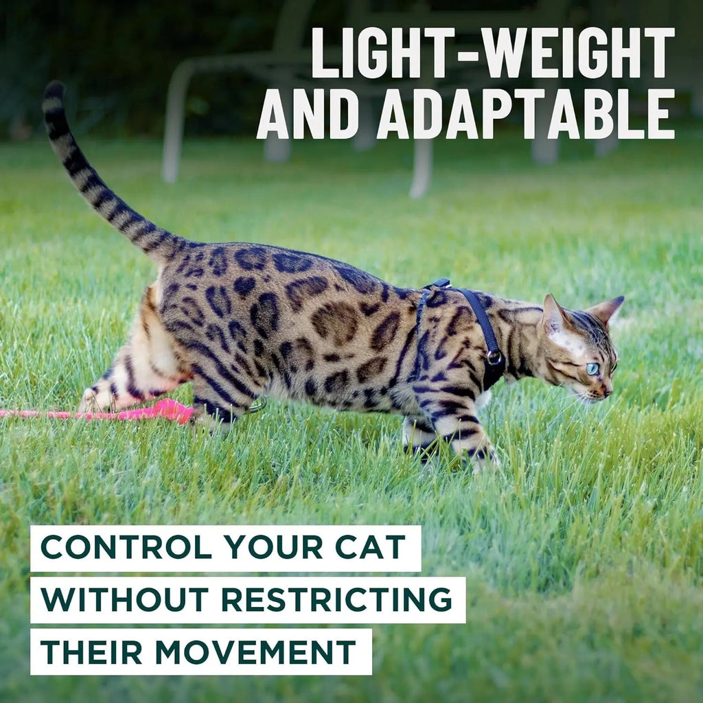 Cat Harness Escape Proof Adjustable Leash Set Reflective Walking Vest