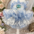 Handmade Cinderella Puppy Costume Dog Dress