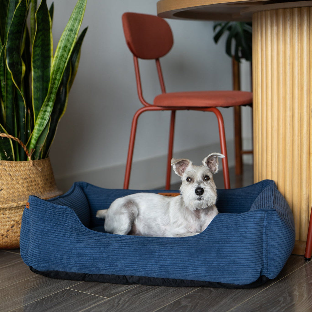 Chester & Lee | Fancy Corduroy Sleeper Dog Bed Blue