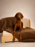 The Haven | Solid Hardwood Orthopedic Dog Bed