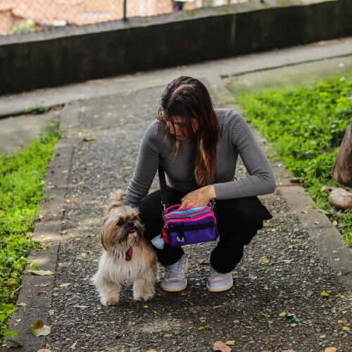 Dog Training Fanny Pack – Insulated & Hands-Free