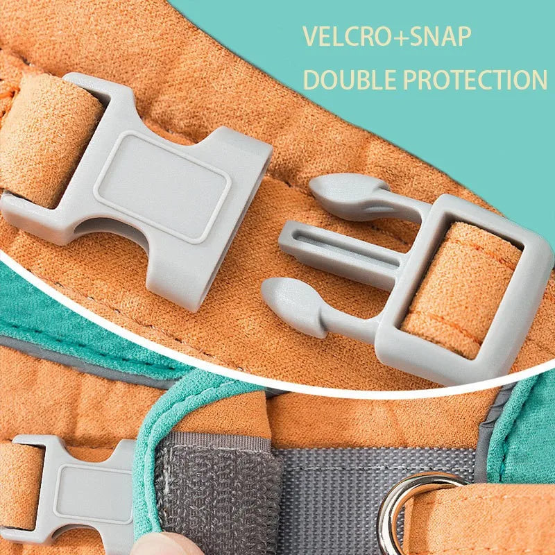 Dog & Cat Harness & Leash Set