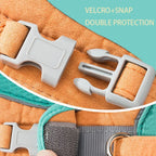 Dog & Cat Harness & Leash Set