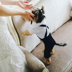 Handsome Stylish Pet Suit with Bow Tie