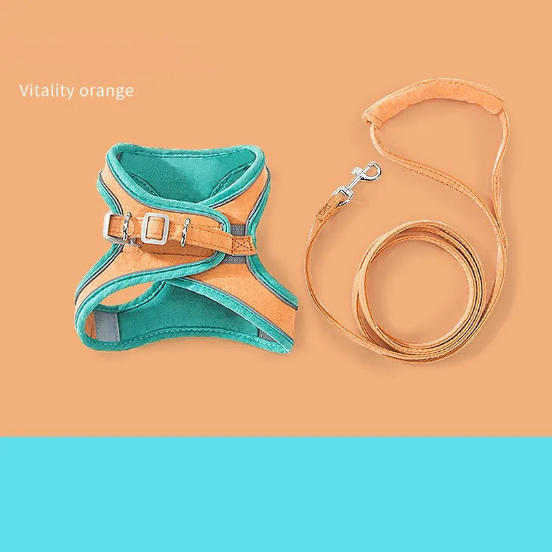 Dog & Cat Harness & Leash Set