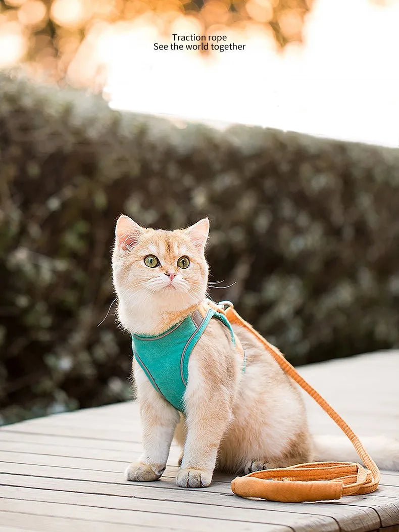 Dog & Cat Harness & Leash Set