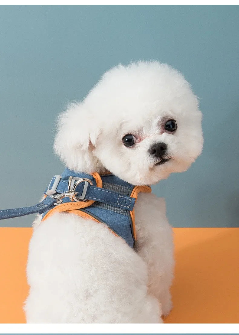 Dog & Cat Harness & Leash Set