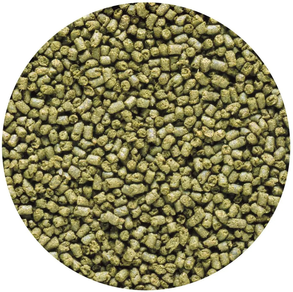 Hikari Saki-Hikari Marine Herbivore MD Sinking Fish Food 3.17 oz.