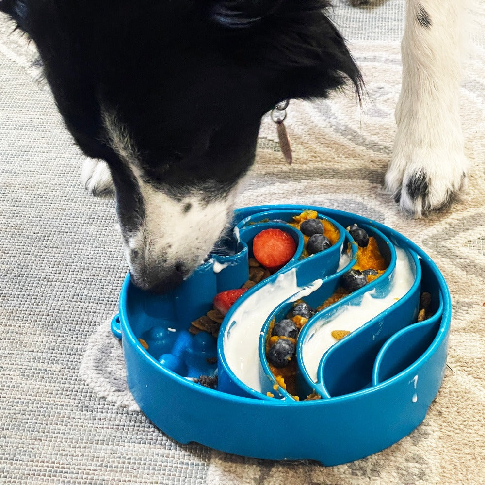Wave eBowl Deep Slow Feeder Dog Bowl for Enrichment | Made in USA