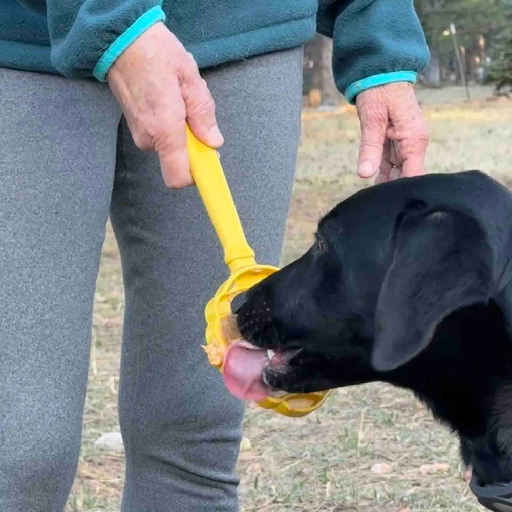 eStick Hand-Held Dog Enrichment Toy - Interactive Lick Stick | USA Made