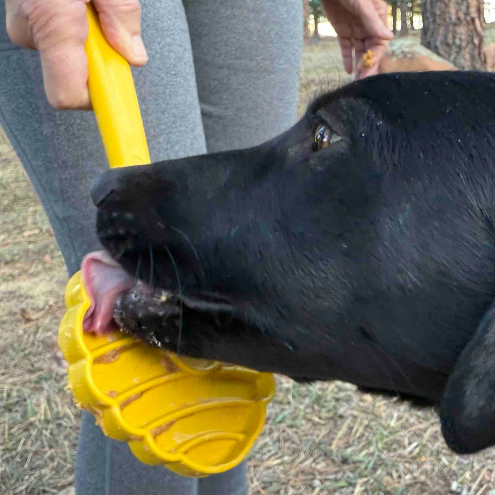 eStick Hand-Held Dog Enrichment Toy - Interactive Lick Stick | USA Made