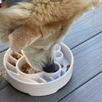 Java eBowl Deep Slow Feeder Dog Bowl for Enrichment | USA Made