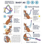 Jack O Lantern Freedom No-Pull Dog Harness – EarthStyle