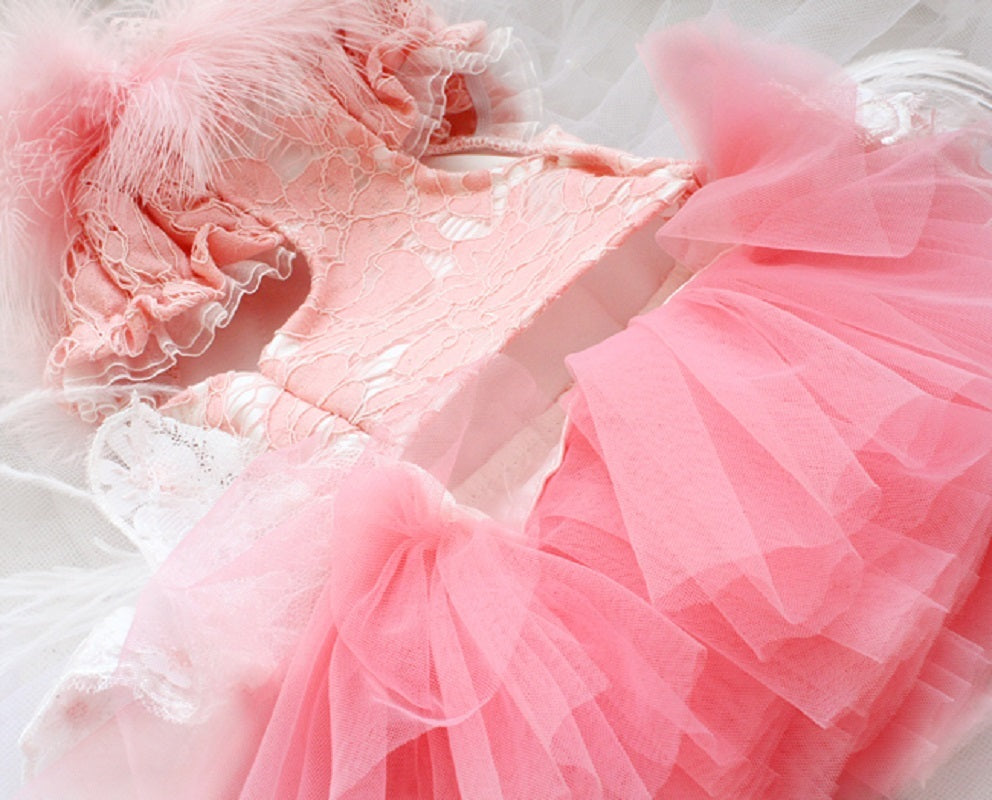Unique Pet Feather Tutu Dog Lace Dress Princess Dress Pink Swan for Wedding Party Birthday Festival One Piece