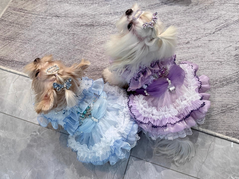 Handmade Cinderella Puppy Costume Dog Dress