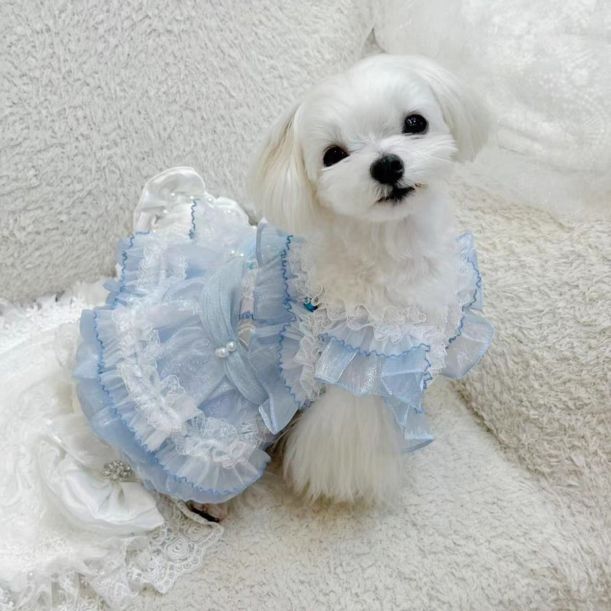 Handmade Cinderella Puppy Costume Dog Dress