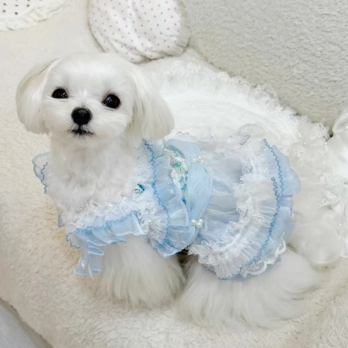 Handmade Cinderella Puppy Costume Dog Dress