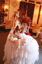 Handmade Ivory Angel Bridal Dog Dress – Luxury Long Train Wedding Gown for Dogs