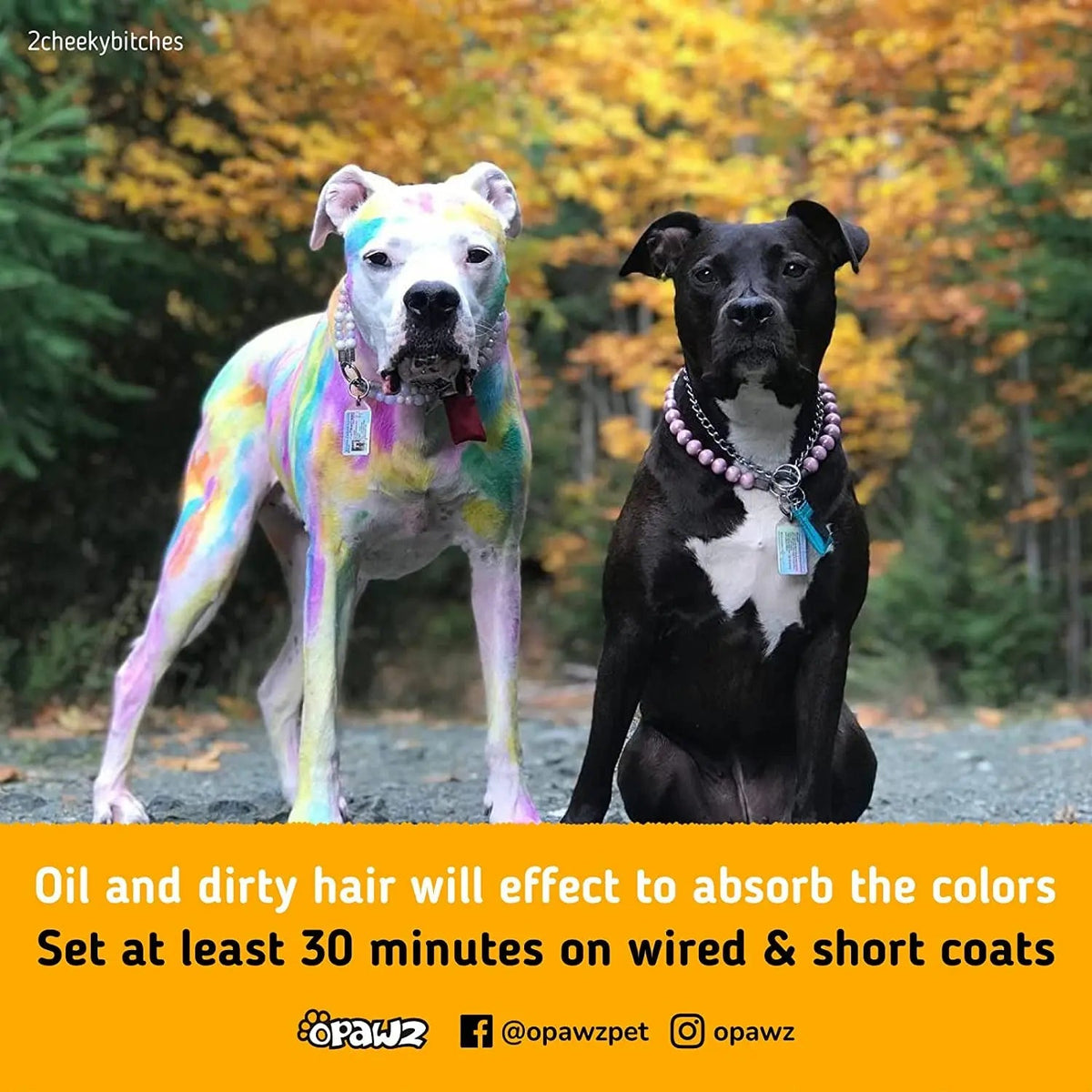 OPAWZ Semi-Permanent Pet Hair Dye – Non-Toxic Color for Dogs & Cats