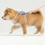 Adjustable Harness & Leash Set for Cats