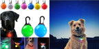 LED Pet Dog Collar for Night Safety | Bright USB Rechargeable