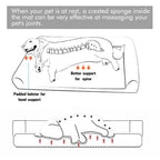 Orthopedic Dog Bed with Removable Washable Cover