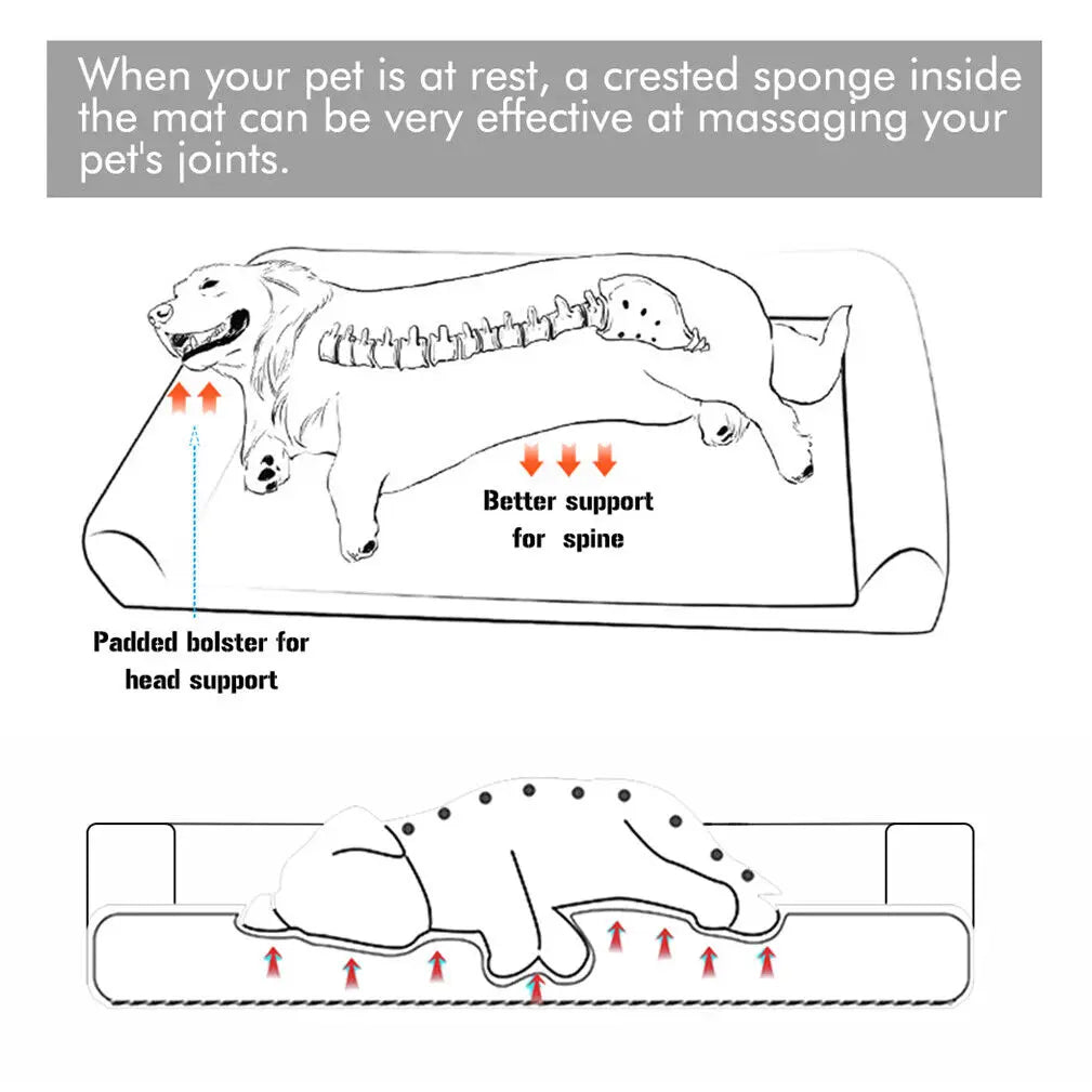 Orthopedic Dog Bed with Removable Washable Cover