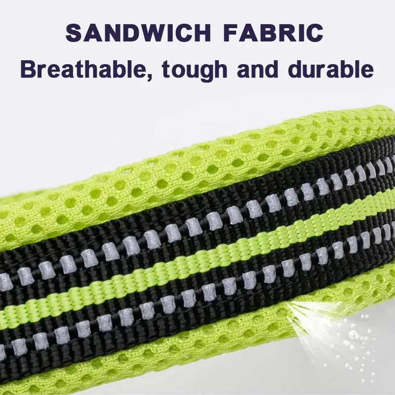 Padded, Nylon Dog Collar with Buckle