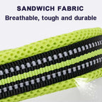 Padded, Nylon Dog Collar with Buckle